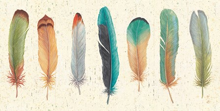 Feather Tales VII by Daphne Brissonnet art print