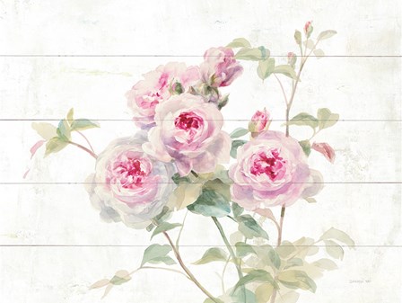 Sweet Roses on Wood by Danhui Nai art print