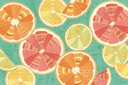 Citrus Splash XI by Veronique Charron art print