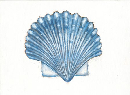 Navy Scallop Shell by Emily Adams art print