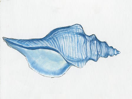 Navy Conch Shell by Emily Adams art print
