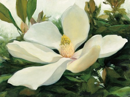 Majestic Magnolia by Julia Purinton art print