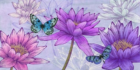 Nympheas and Butterflies by Eve C. Grant art print