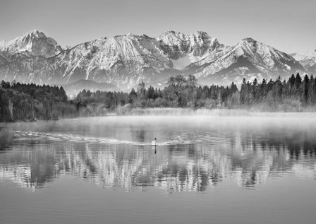 Allgaeu Alps and Hopfensee lake, Bavaria, Germany (BW) by Frank Krahmer art print