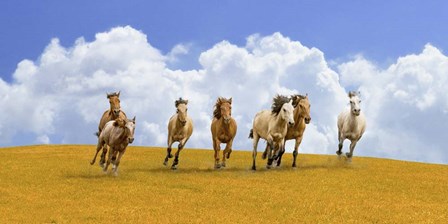 Herd of Wild Horses by Pangea Images art print