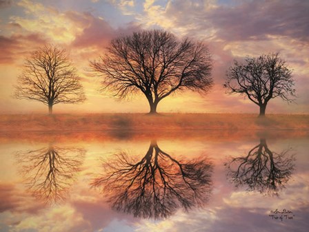 Trio of Trees by Lori Deiter art print