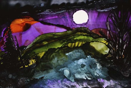 Midnight Sky by Michelle McCullough art print