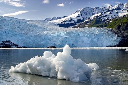 Iceburg by Mike Jones Photo art print