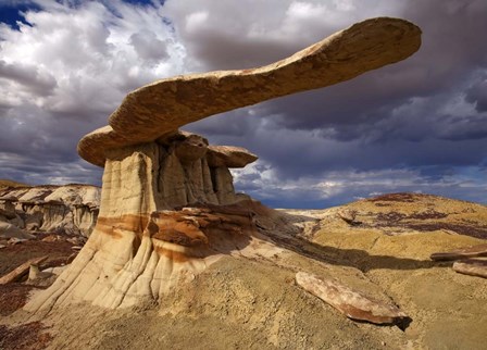 NM Ah-shi-sle-pah King Of Wings by Mike Jones Photo art print