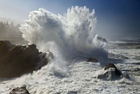 Oregon Shore Acres SP Wave by Mike Jones Photo art print