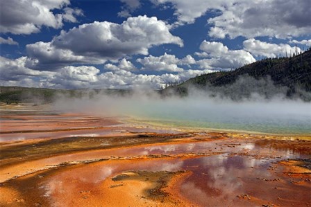 Prismatic Springs by Mike Jones Photo art print