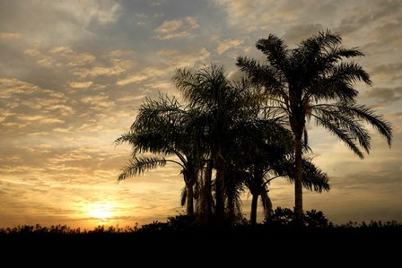 Sunrise Experinemt by Mike Jones Photo art print