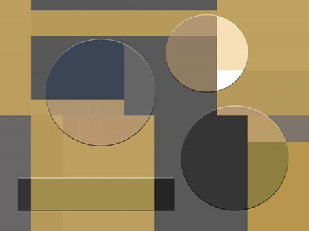 Beauty Of Shades by Richard Homawoo art print