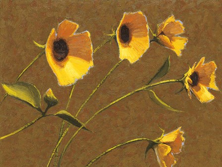 Sunny Flowers III by Shirley Novak art print