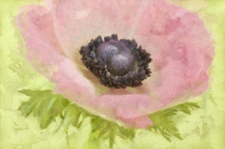 Anemone Pink and Lime by Cora Niele art print