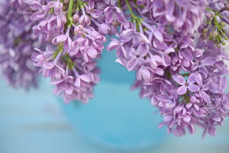 Lilacs in Blue Vase V by Cora Niele art print