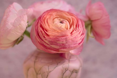 Small Flower by Cora Niele art print