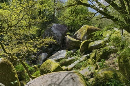 The Chaos Of  Huelgoat I by Cora Niele art print