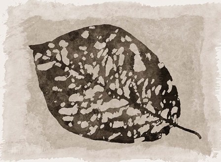 Sepia Leaf by Cora Niele art print