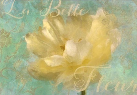 La Belle Fleur II by Cora Niele art print