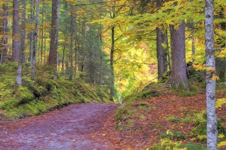 Wood Walk Painting by Cora Niele art print