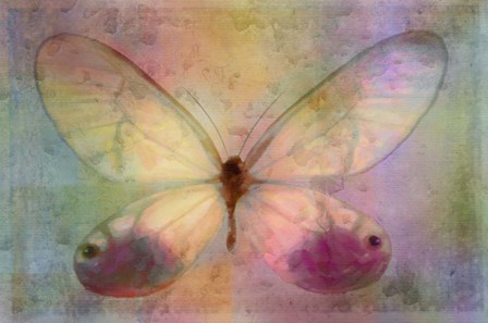 Yellow Butterfly Watercolor by Cora Niele art print