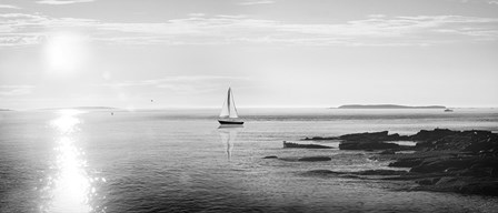 Evening Sail Black and White by Sue Schlabach art print