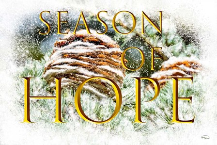 Season of Hope by Ramona Murdock art print