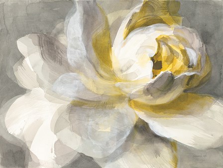 Abstract Rose by Danhui Nai art print