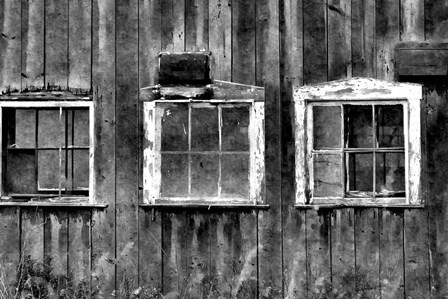 The Old Barn Window by Denise Romita art print