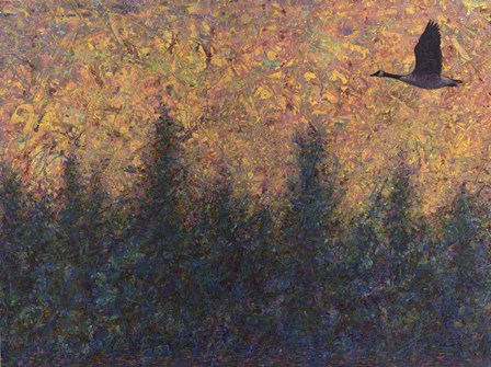 Solitary Goose by James W. Johnson art print