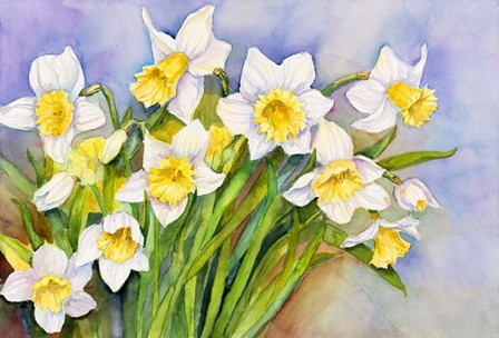 Daffodil Cluster by Joanne Porter art print