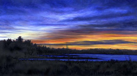 Blue Ribbon by John Morrow art print