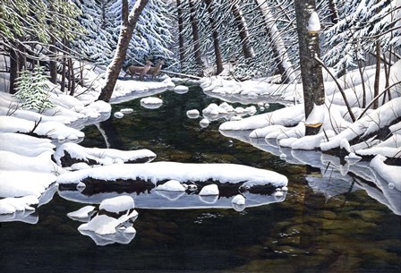 Forever Wild by John Morrow art print