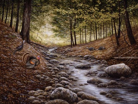 Gobbler Run by John Morrow art print