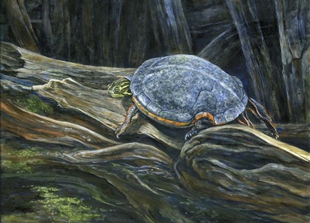 Hard Top by John Morrow art print