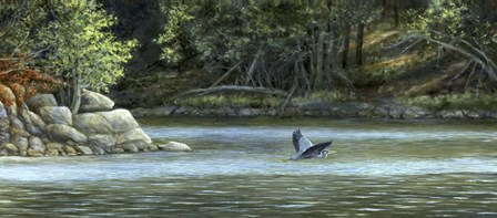 Open Water by John Morrow art print