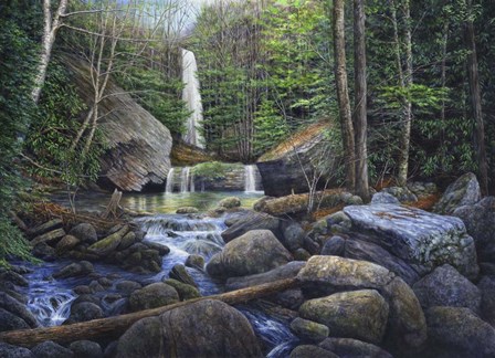 Ozone Falls by John Morrow art print