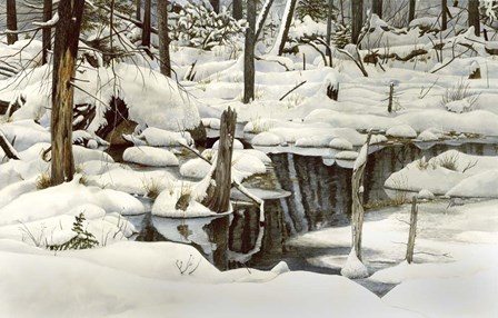 Simplicity in Detail by John Morrow art print