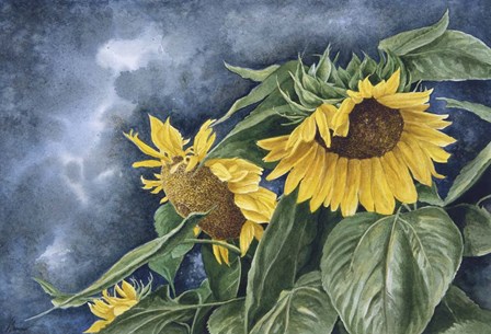 Summer Gold by John Morrow art print