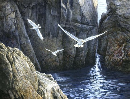 The Gulls of Puplit Rock by John Morrow art print