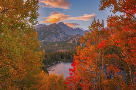 Autumn&#39;s Breath by Darren White Photography art print