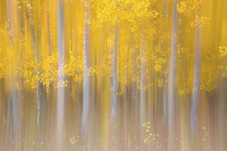 Changing Seasons by Darren White Photography art print