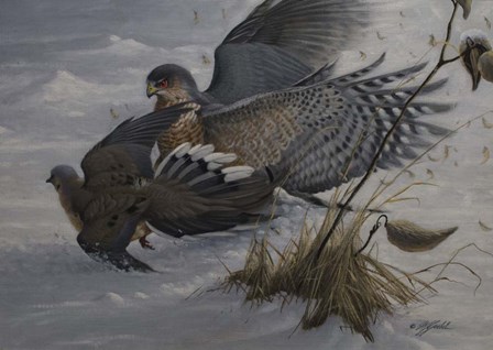 Sudden Impact by Wilhelm J. Goebel art print