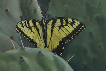 Butterfly 2 by Rusty Frentner art print