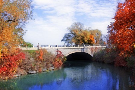 Autumn 2 by Ata Alishahi art print