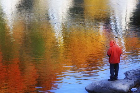 Fishing by Ata Alishahi art print