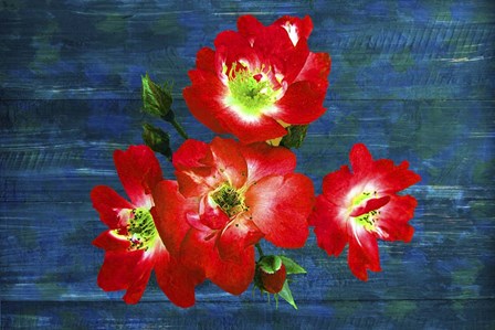 Floral Design J by Ata Alishahi art print