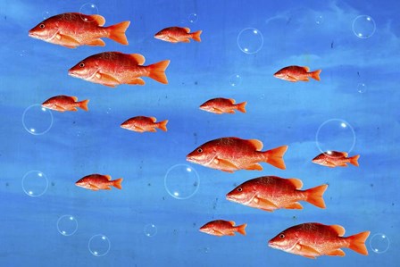 Red Fish by Ata Alishahi art print