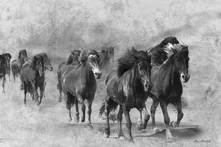 Wild Horses 2 by Ata Alishahi art print